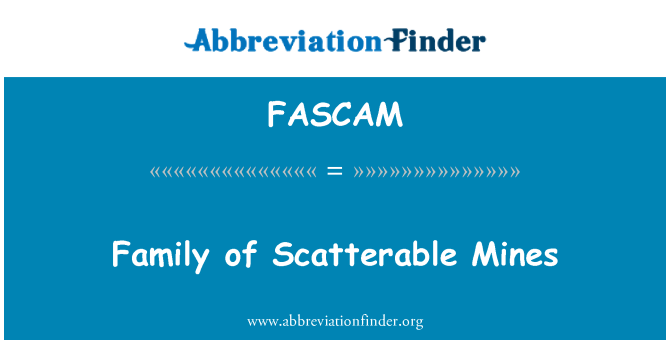 FASCAM: Fanmi Scatterable min yo