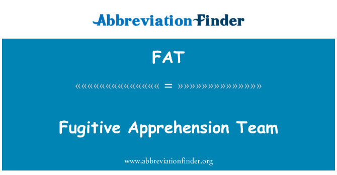 FAT: Diffuse aanhouding Team