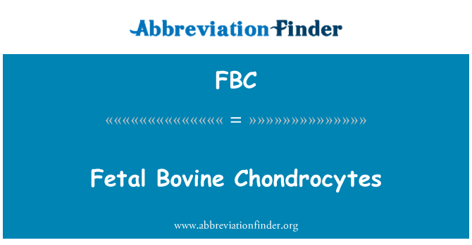 FBC: Vaisiaus galvijų Chondrocytes