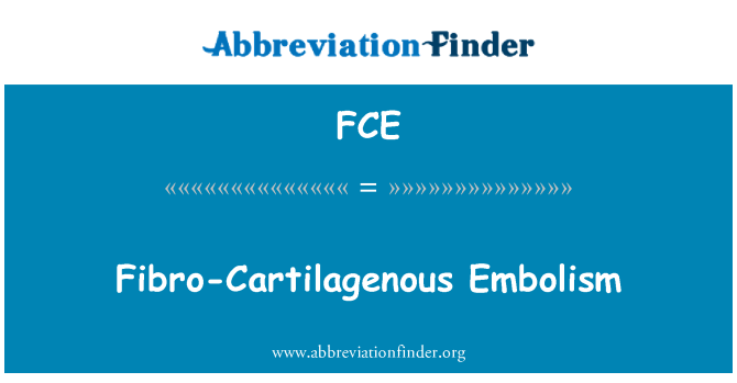 FCE: Embòlia fibro-Cartilagenous