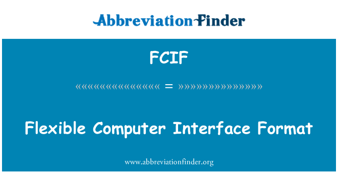 FCIF: Flexible Computer Interface Format