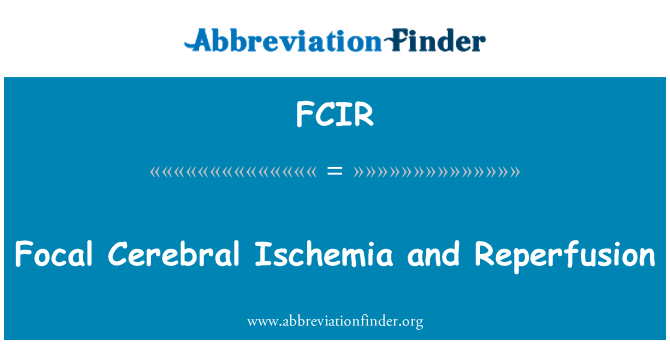 FCIR: Ohnisková vzdialenosť mozgovej ischémie a reperfuzní