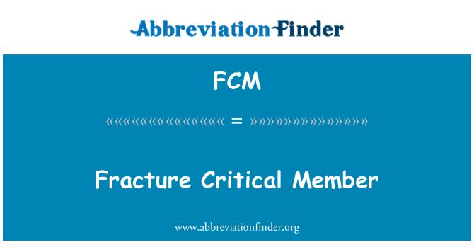 FCM: 破壊の重要なメンバー