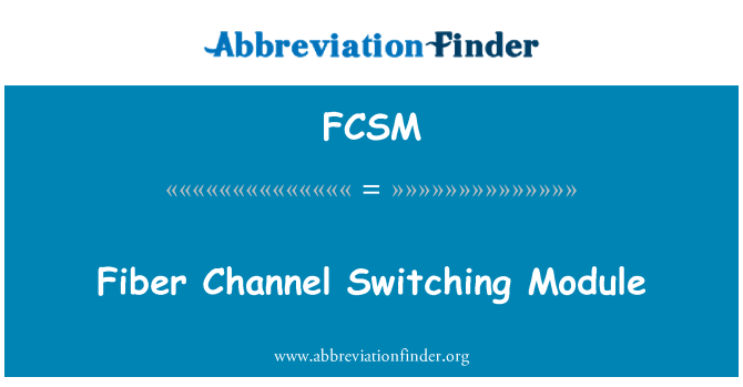 FCSM: Fiber Channel Switching Module