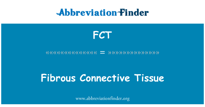 FCT: Tecido conjuntivo fibroso