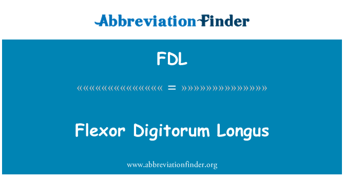 FDL: Flexor Digitorum Longus