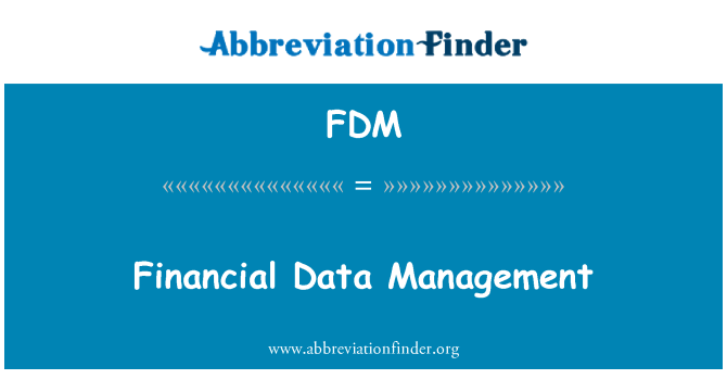 FDM: Riadenie finančných údajov
