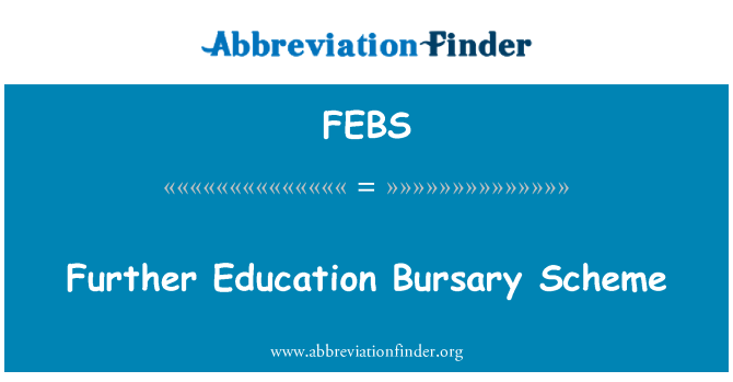 FEBS: Perfeccionament de beques pla
