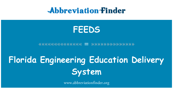 FEEDS: Florida-Engineering-Bildung-Delivery-System