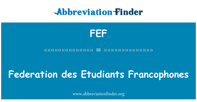 FEF: Des de la Federació Etudiants Francophones