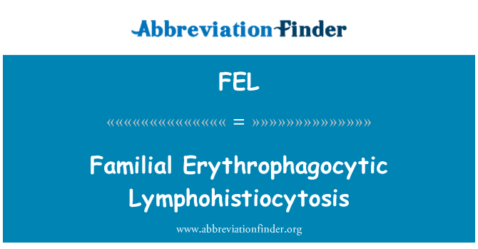 FEL: 가족 Erythrophagocytic Lymphohistiocytosis