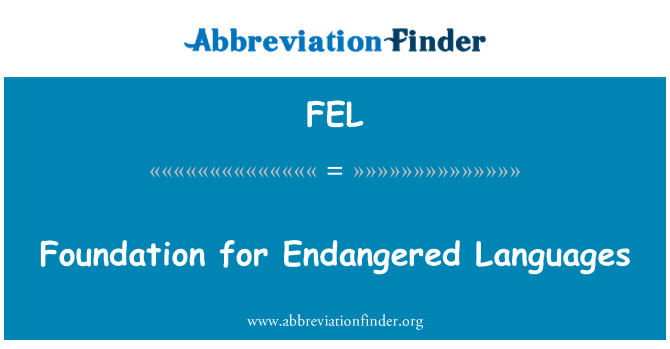 FEL: Foundation for Endangered Languages
