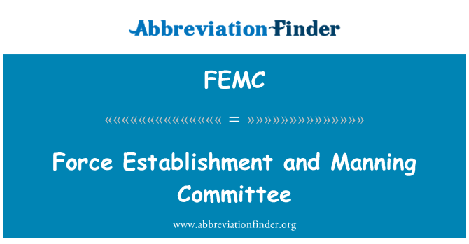 FEMC: Створення сил і Меннінг комітету