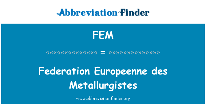 FEM: Federation Europeenne des Metallurgistes