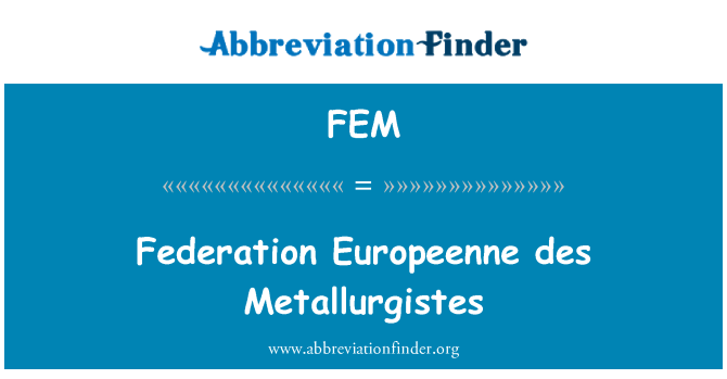 FEM: Persekutuan Europeenne des Metallurgistes
