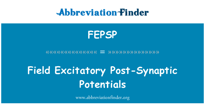 FEPSP: Potenciais pós-sinápticos excitatórios de campo