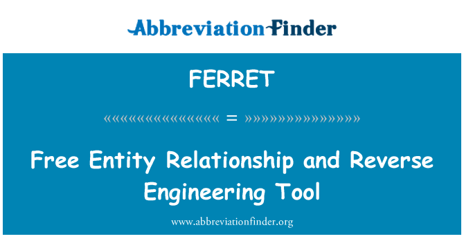 FERRET: Free Entity Relationship and Reverse Engineering Tool