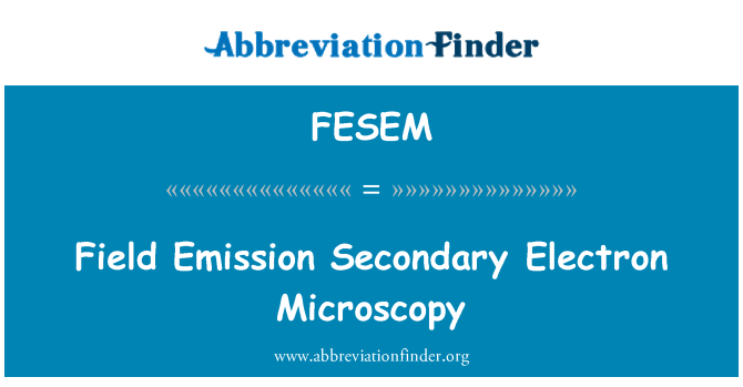 FESEM: Lauko emisijos vidurinės elektronų mikroskopija
