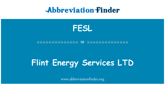 FESL: Flint Energy Services LTD