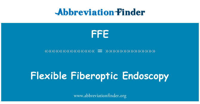 FFE: 柔性纖維內窺鏡