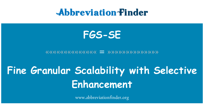 FGS-SE: 選択的強化とスケーラビリティ