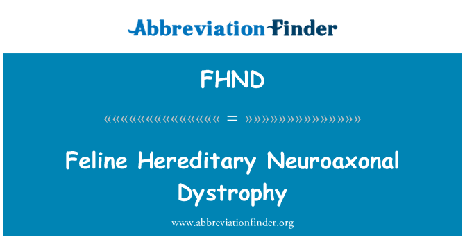 FHND: Mačji dedne distrofije Neuroaxonal