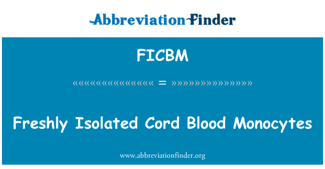 FICBM: Frisch isolierten Cord Blood Monozyten