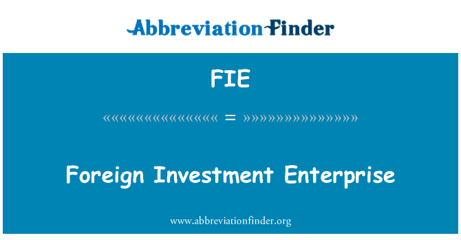 FIE: विदेशी निवेश उद्यम