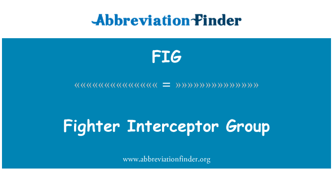 FIG: Groupe de chasse intercepteur