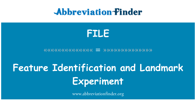 FILE: Funktionen identifikation og Landmark eksperiment
