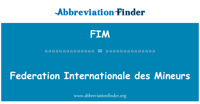 FIM: Federazzjoni Internationale des Mineurs