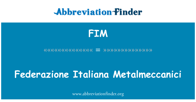 FIM: Federazione Italiana Metalmeccanici