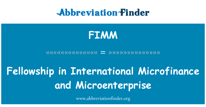 FIMM: Fellowship in International Microfinance and Microenterprise