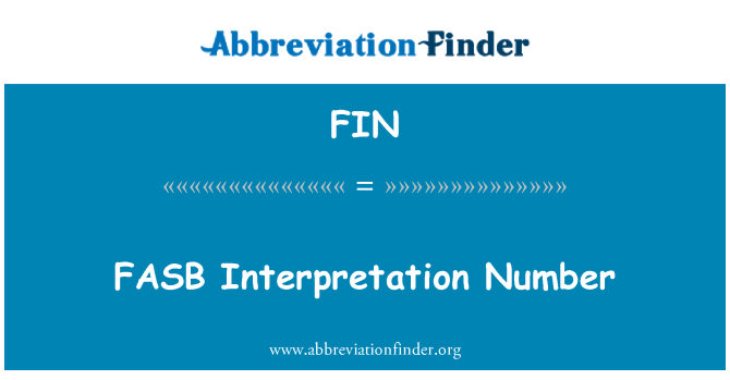 FIN: FASB interpretace číslo