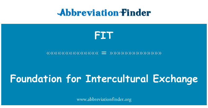 FIT: Foundation for Intercultural Exchange