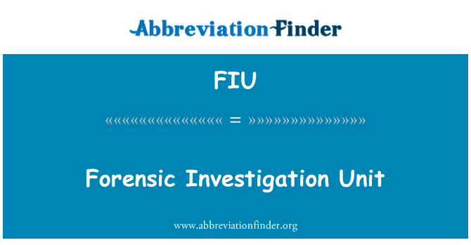 FIU: Forensic Investigation Unit