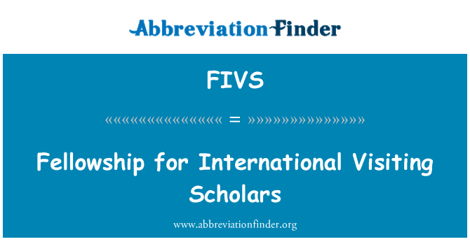 FIVS: Borsa di studio per studiosi internazionali Visiting