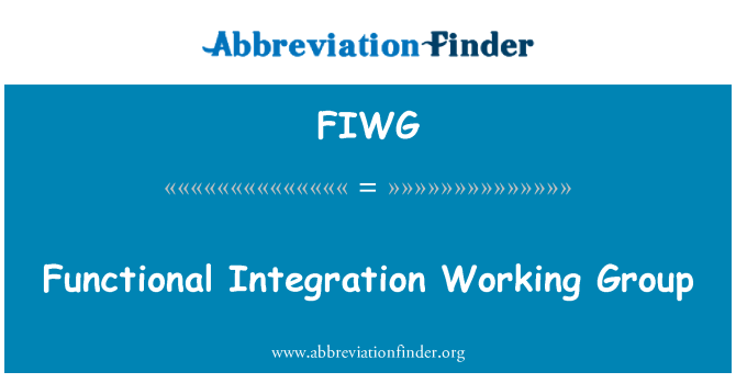 FIWG: Funkcionalno integracijo delovne skupine