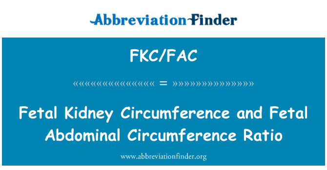 FKC/FAC: محيط الكلي الجنين ونسبة محيط البطن الجنين