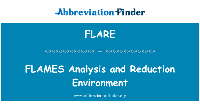 FLARE: FLAMES Analysis and Reduction Environment