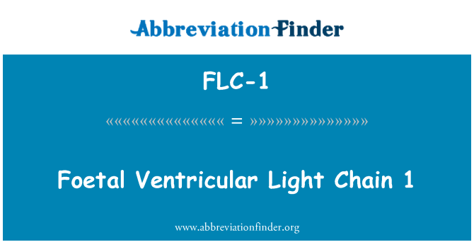 FLC-1: Ffetws gadwyn golau Ventricular 1