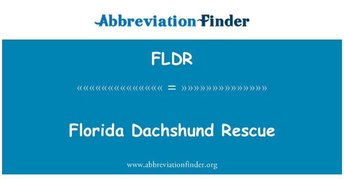 FLDR: Florida Dachshund Rescue