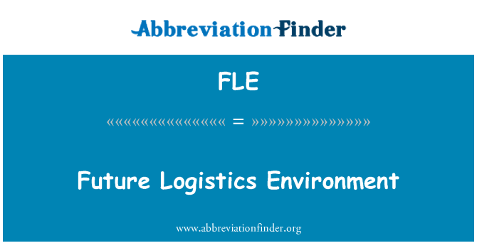 FLE: Future Logistics Environment