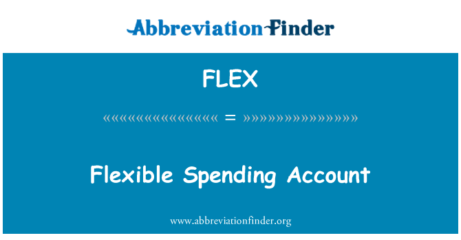 FLEX: Fleksibel udgifter konto