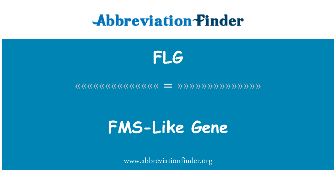 FLG: Gene FMS tankou