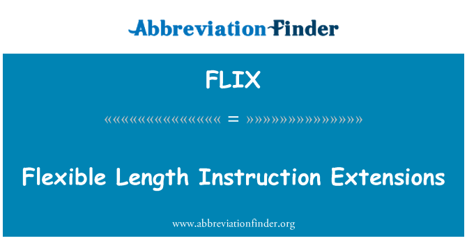 FLIX: Flexibilní délka instrukce rozšíření