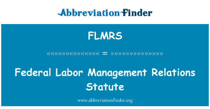 FLMRS: Federal işçi yönetim ilişkileri tüzük