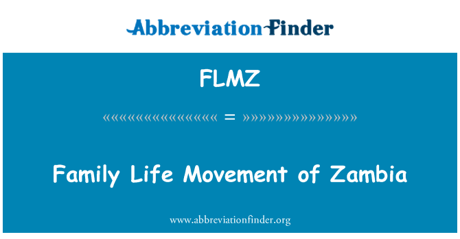 FLMZ: ザンビアの家族の生活運動