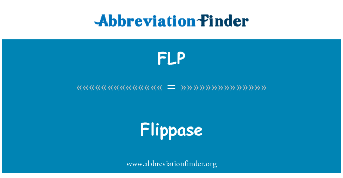 FLP: Flippase