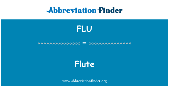FLU: Flit